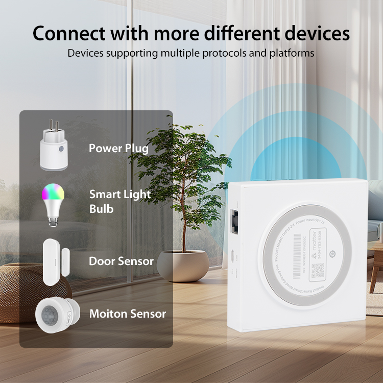 Tuya Zigbee Matter Thread Gate - Matter Hub Thread 评论和价格