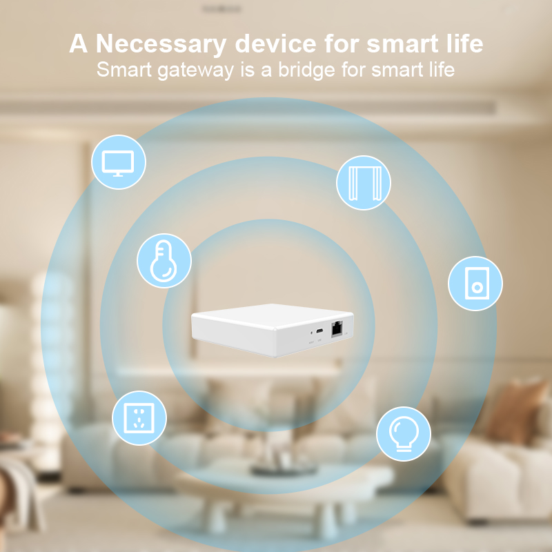 Matter Gateway Hub Homekit Tuy - Matter Hub Thread 评论和价格