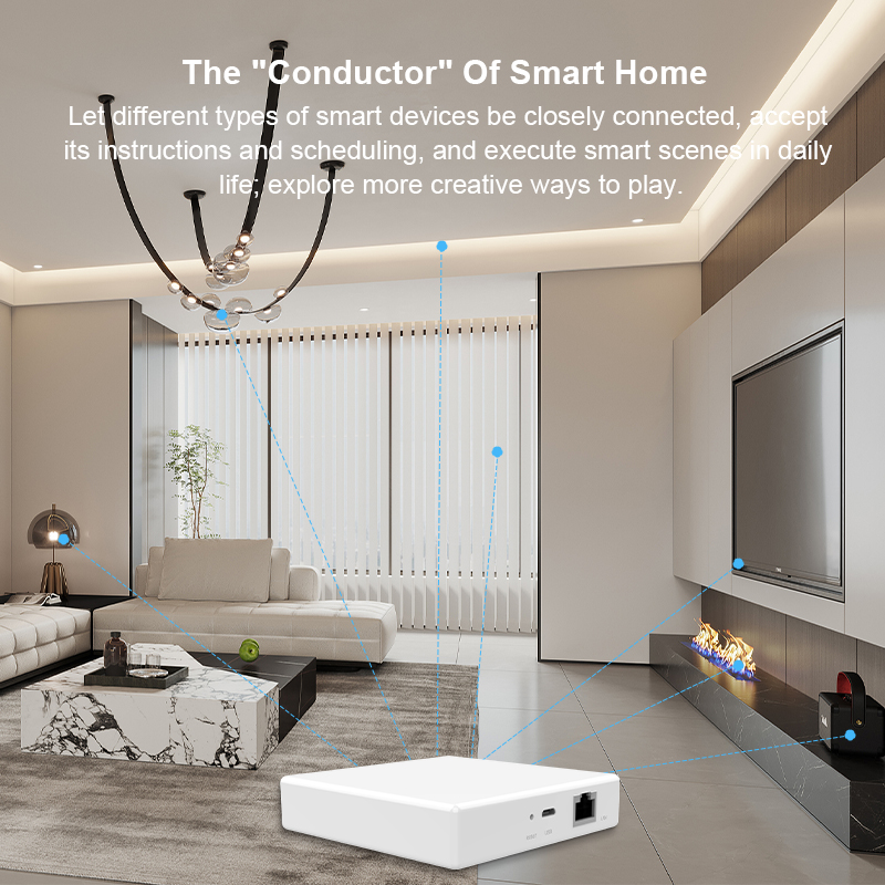 Matter Gateway Hub Homekit Tuy - Matter Hub Thread 评论和价格