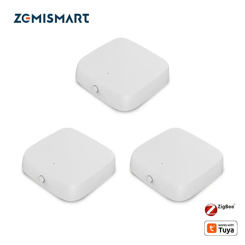 Zemismart Zigbee Temperature a - Matter Hub Thread 评论和价格