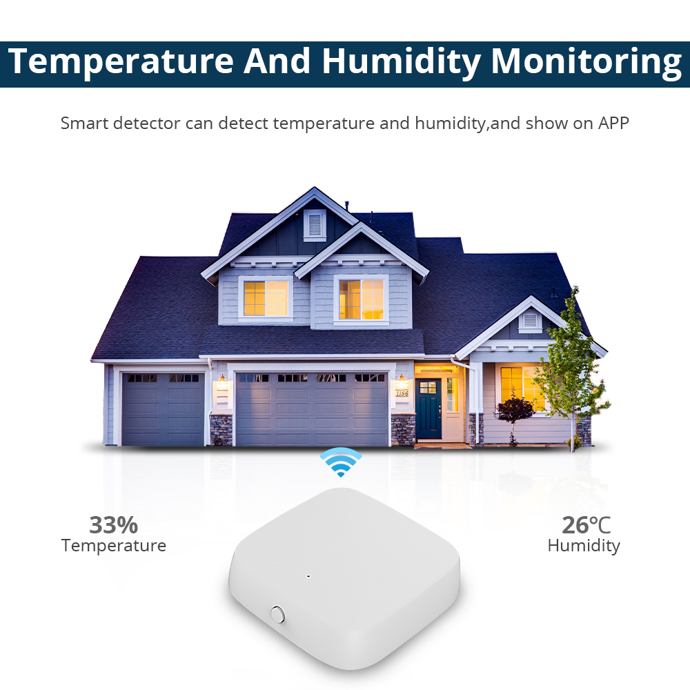 Zemismart Zigbee Temperature a - Matter Hub Thread 评论和价格