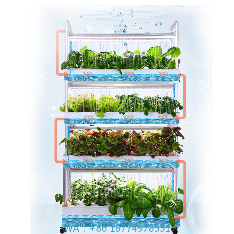 ydroponic Planting System Smar - Diy Automation 评论和价格