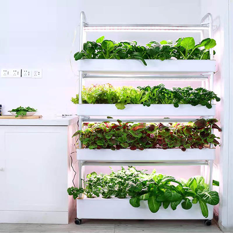 ydroponic Planting System Smar - Diy Automation 评论和价格