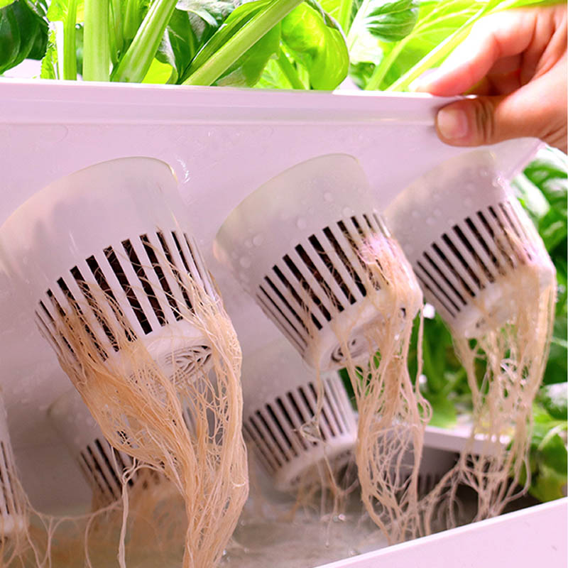 ydroponic Planting System Smar - Diy Automation 评论和价格
