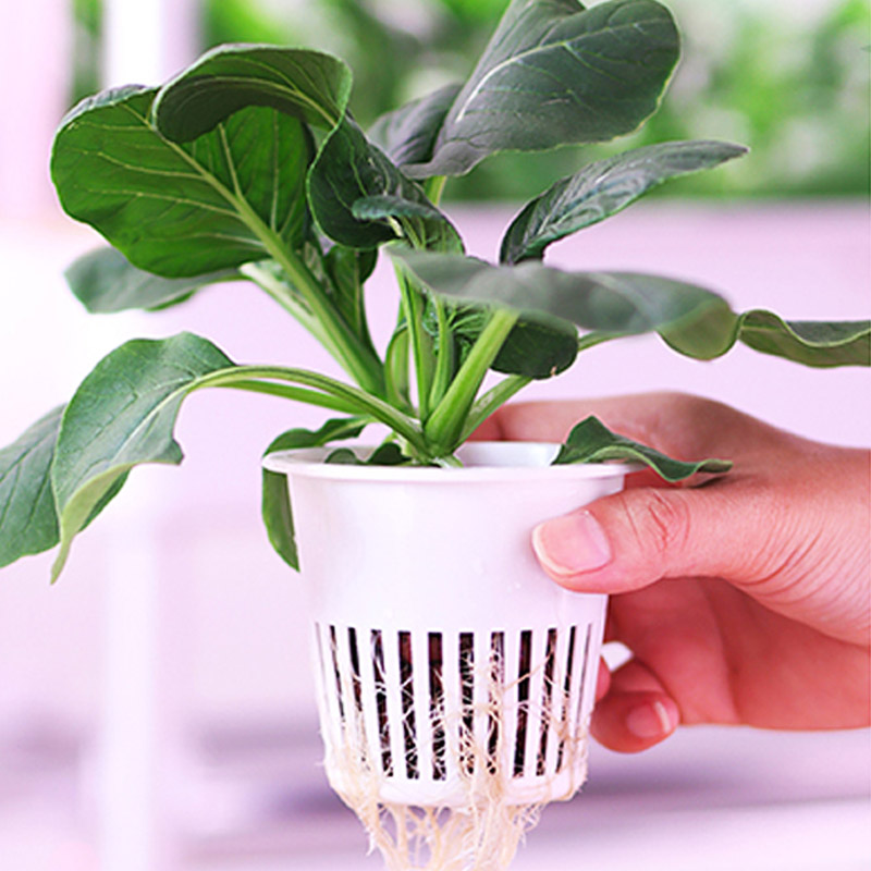 ydroponic Planting System Smar - Diy Automation 评论和价格